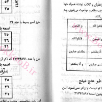 41 41